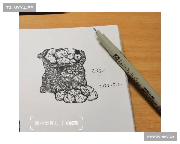 我的土豆去哪了 探索失踪土豆背后的故事与谜团 我的土豆去哪了 探索失踪土豆背后的故事与谜团